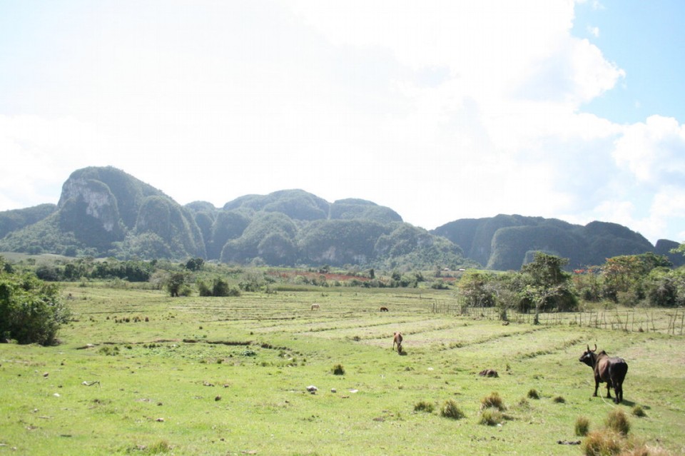 Kuba - Viñales Tour - 