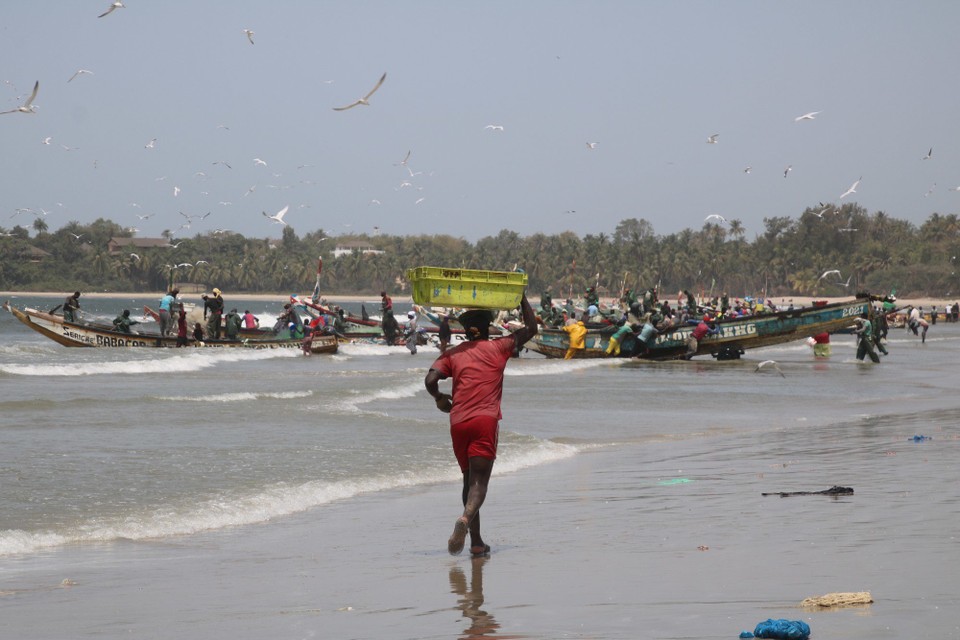 Senegal - Cap Skirring - Cap Skirring