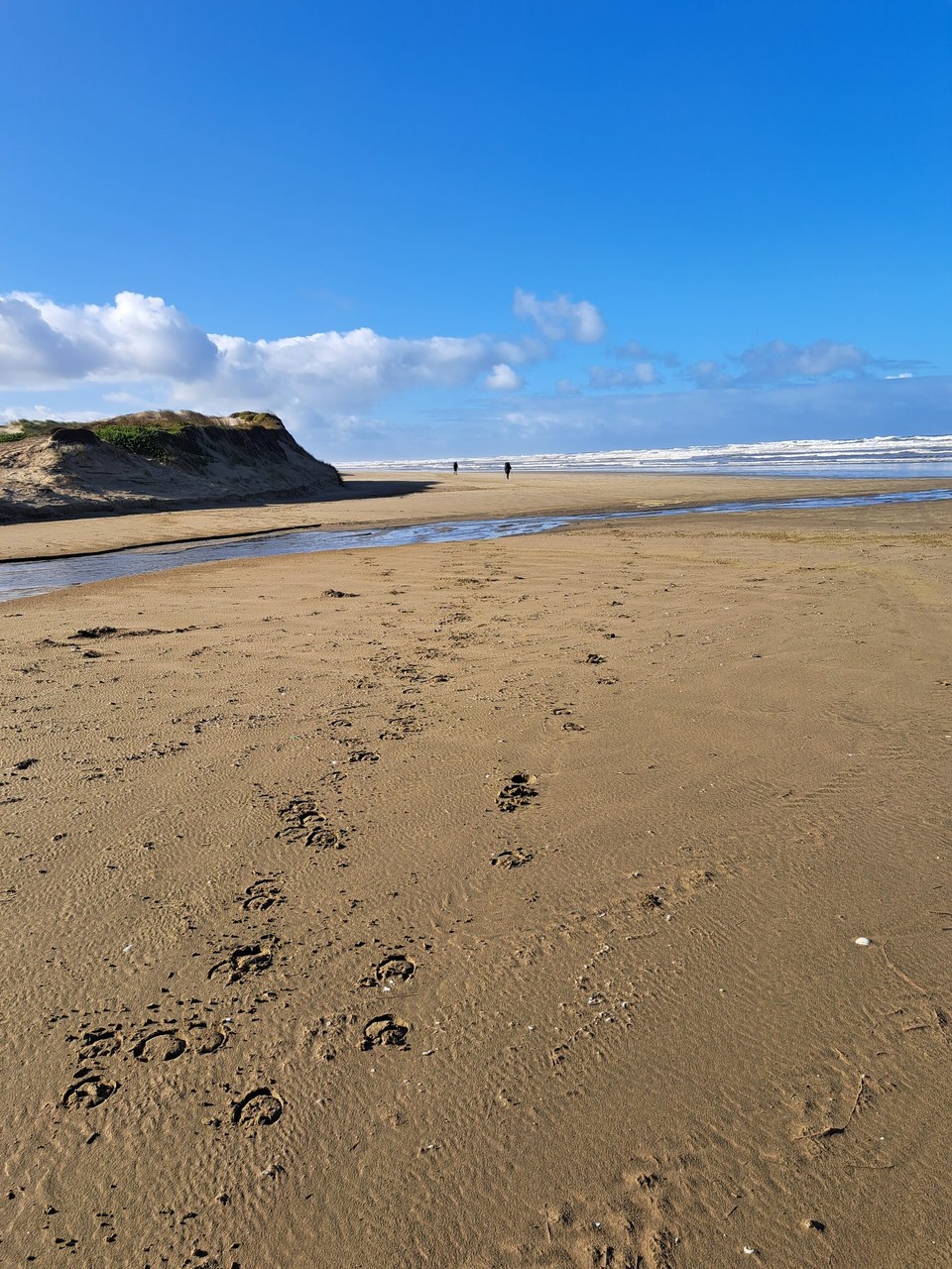 Neuseeland - unbekannt - Für die nächsten Tage, Sand und Wasser,  so weit man sieht 