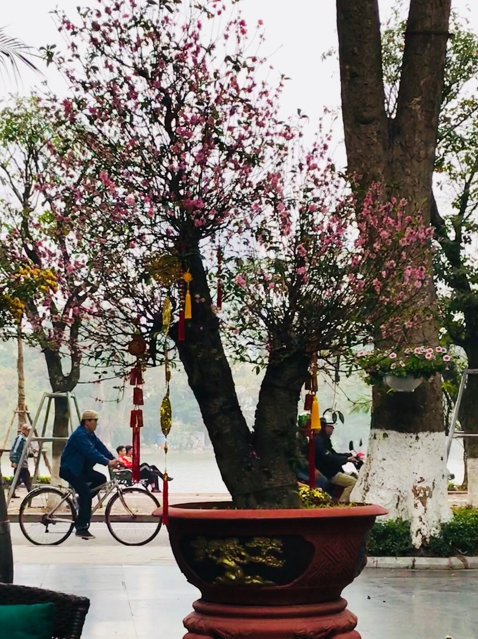Vietnam - Hanoi - 