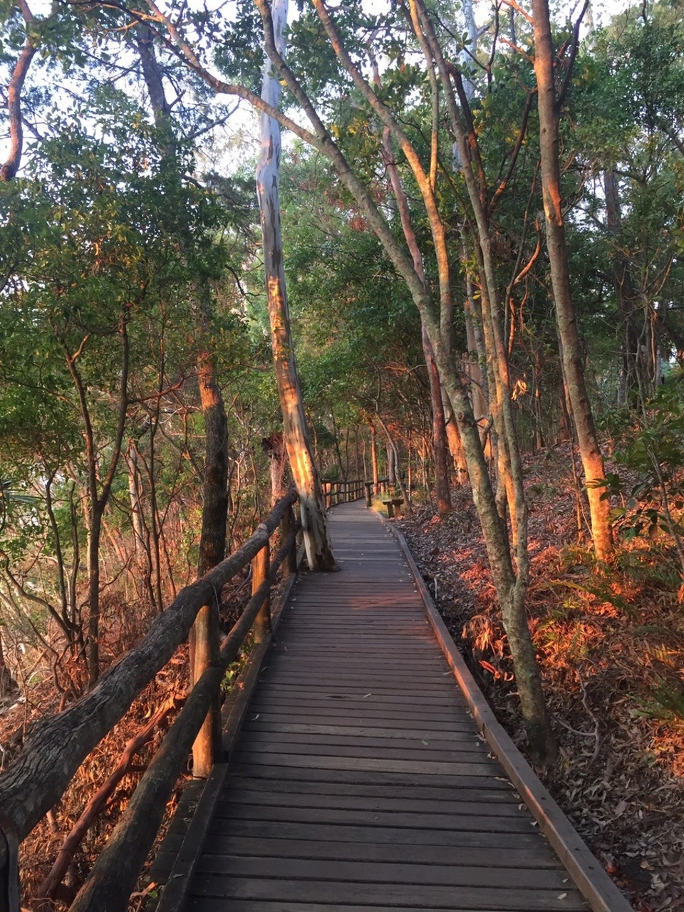  - Australia, Noosa Heads - 