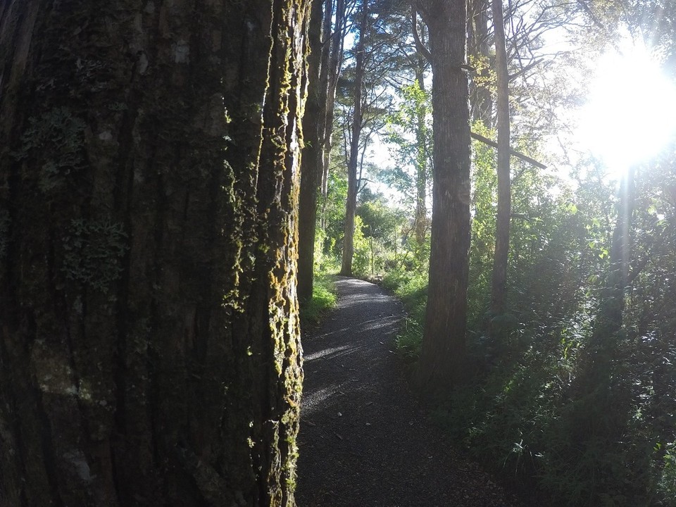 Neuseeland - Kerikeri - 