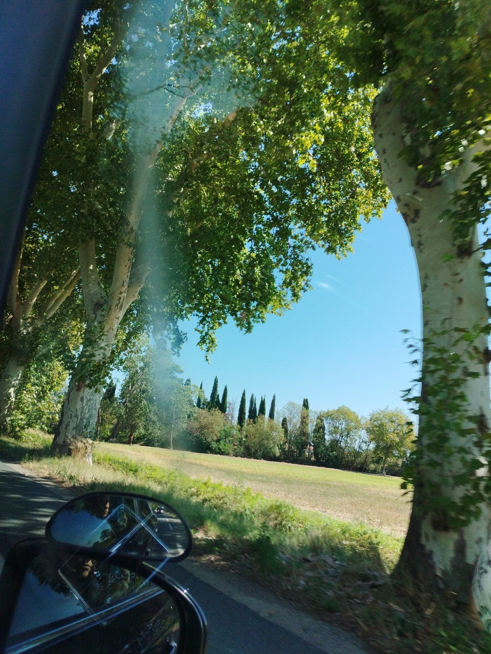 Frankreich - Avignon - 