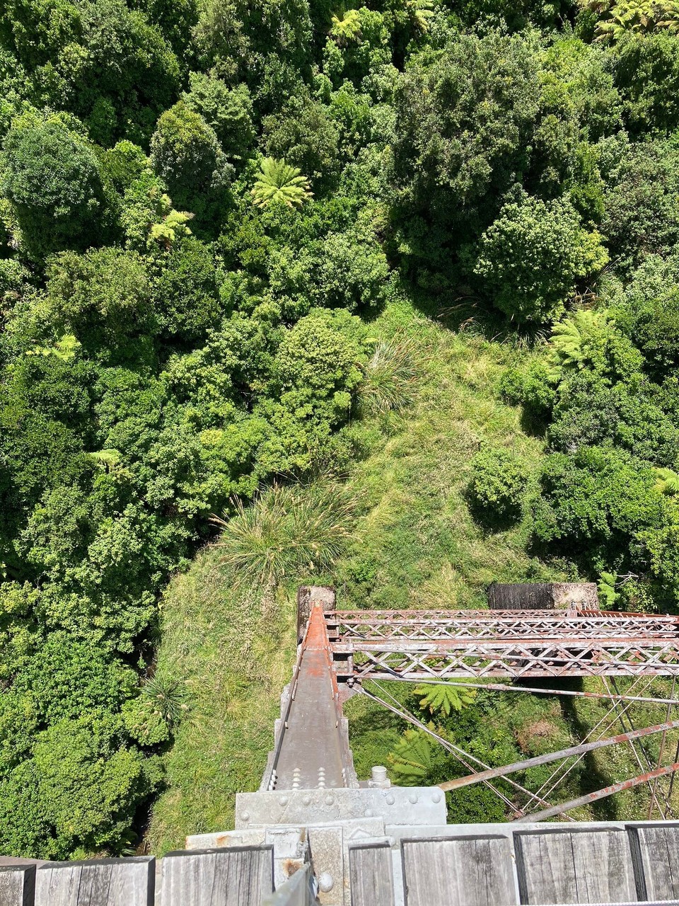 Neuseeland - Raetihi - 42m sieht gar nicht so hoch aus 😅