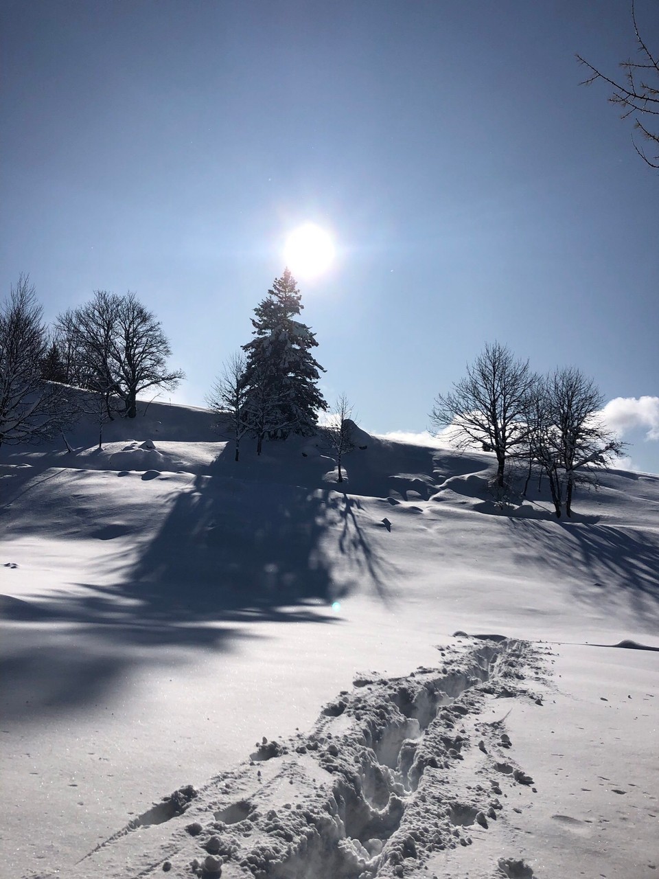 Frankreich - Villard de Lans - 