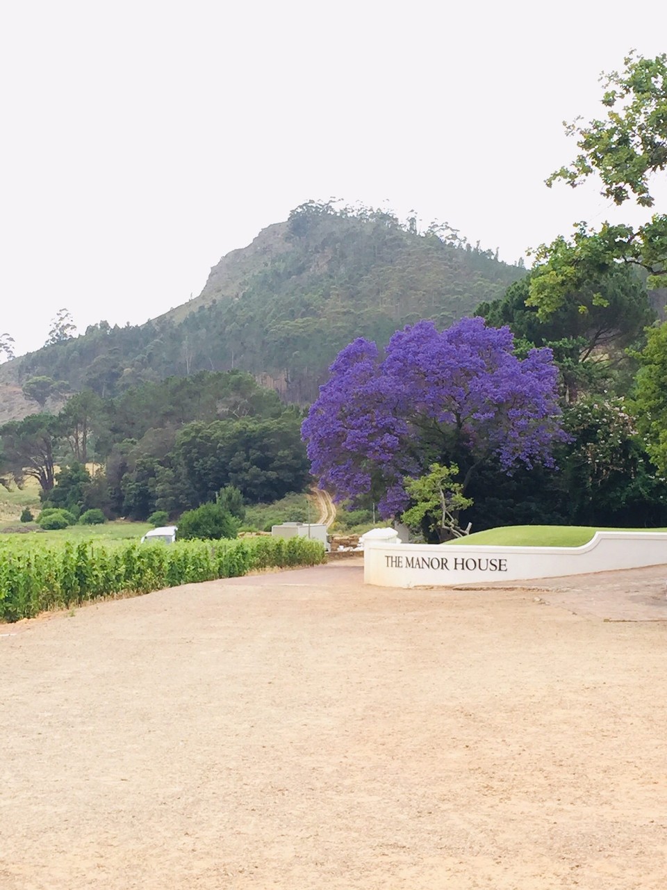 Südafrika - Stellenbosch - 