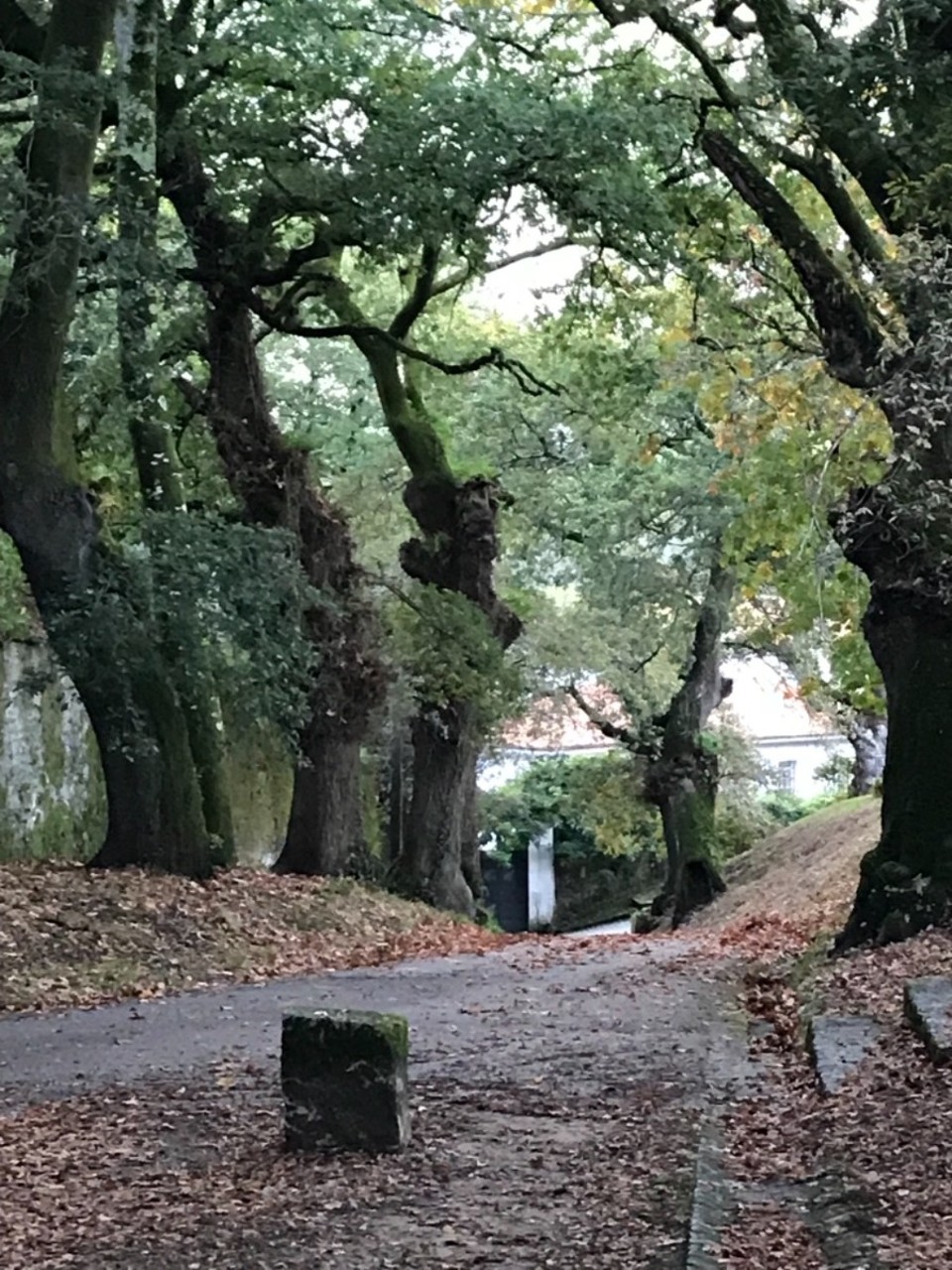 Spanien - Santiago de Compostela - Hast du einmal einen Camino begonnen, kommst du wieder zurück.