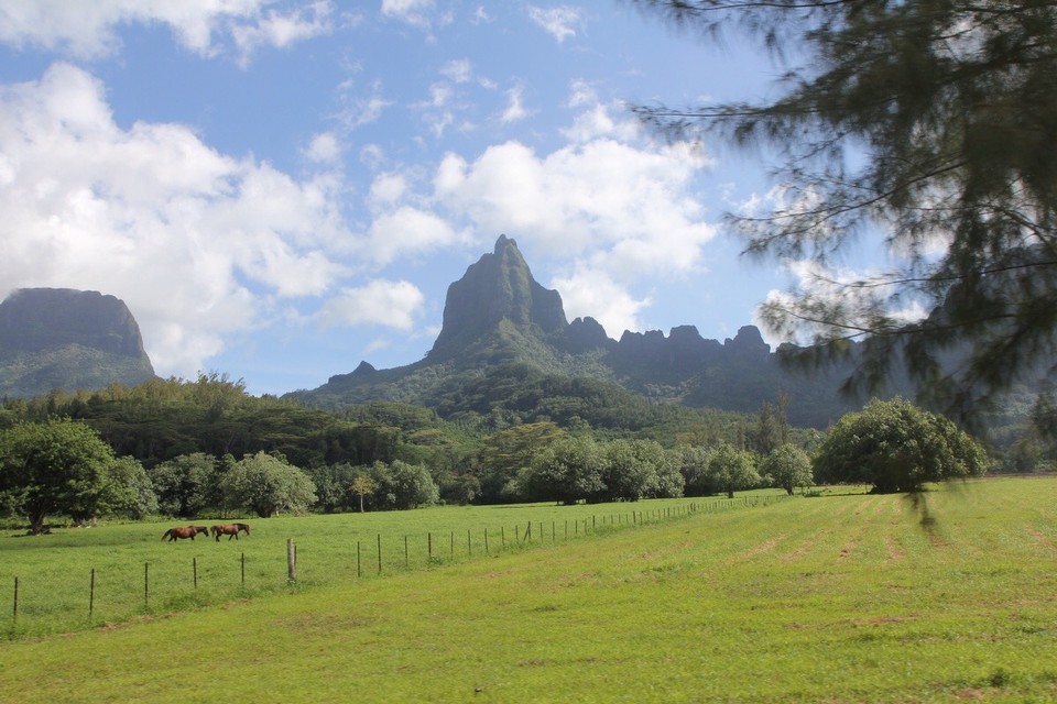  -  - DAS SCHÖNSTE PANORAMA DER INSEL