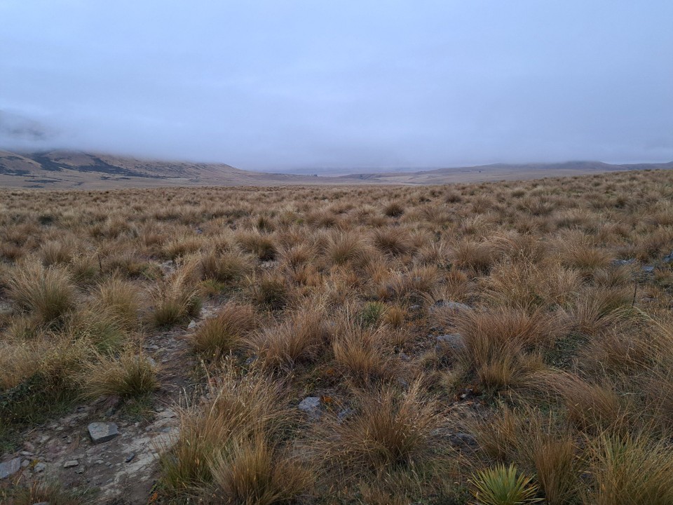 Neuseeland - Geraldine - 