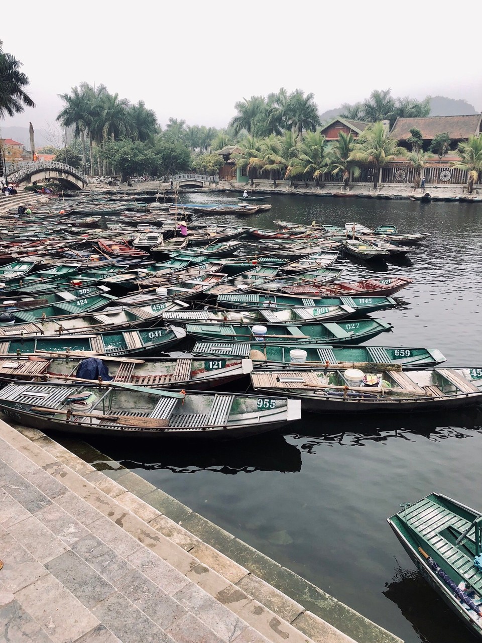Vietnam - H. Hoa Lư - 