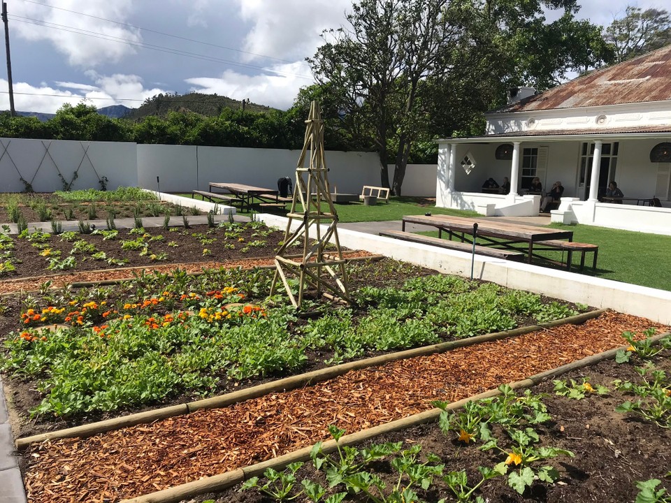 Südafrika - Stellenbosch - 