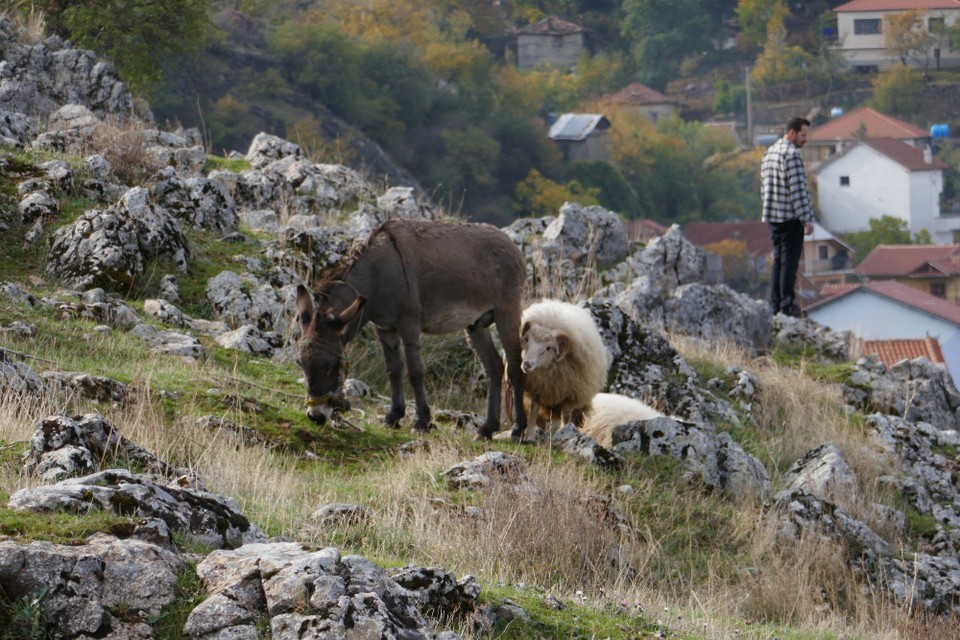 Albanien - Lin - 