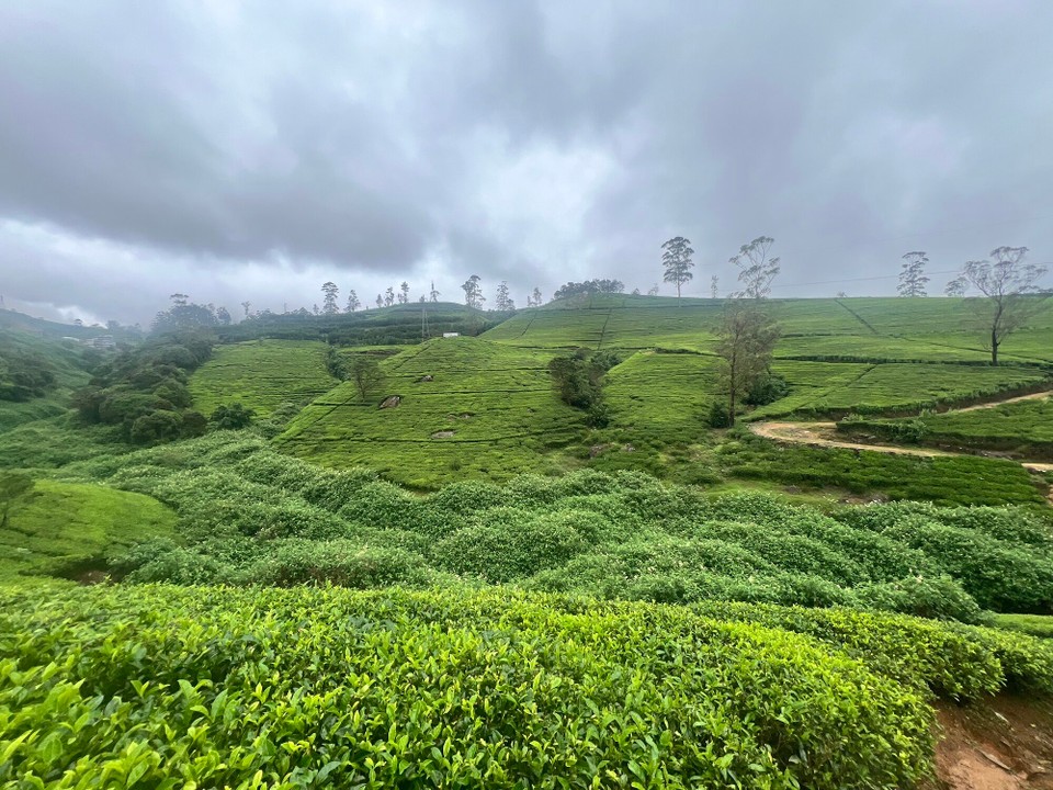 Sri Lanka -  - 