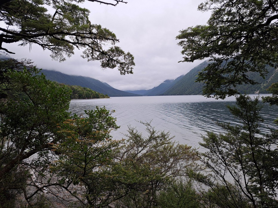 Neuseeland - Nelson Lakes National Park - 