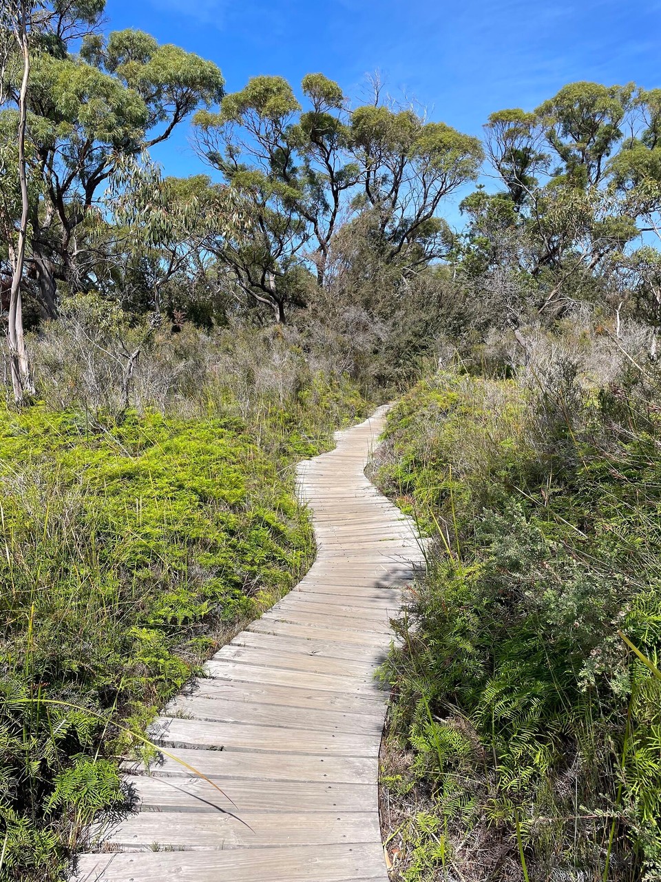 Australien - Freycinet - 