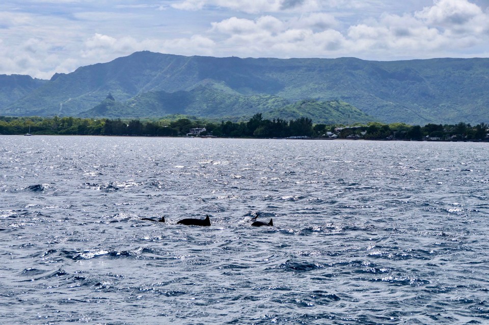 Mauritius - Port Louis - 