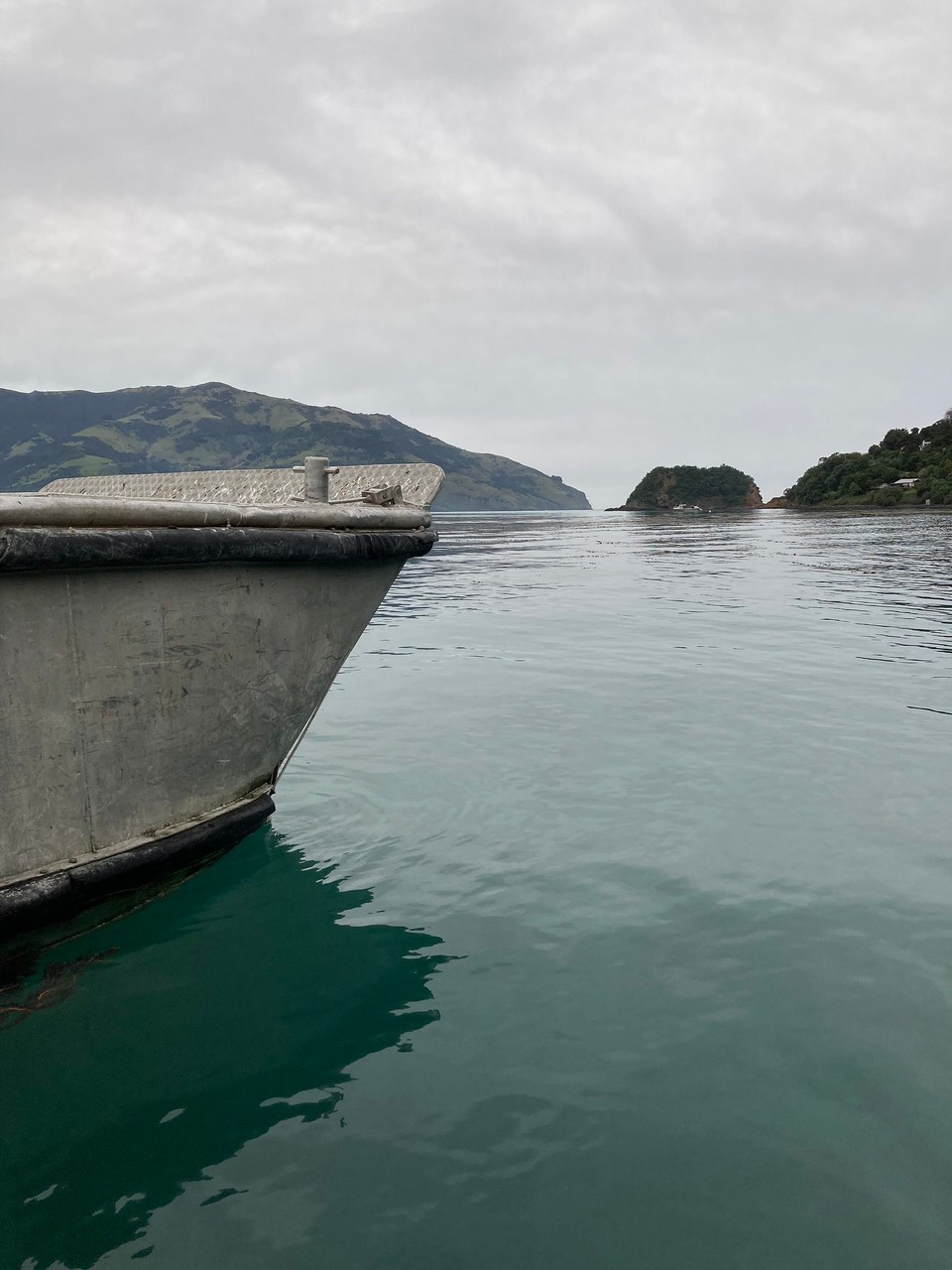 Neuseeland - Duvauchelle - Ein bisschen Zeit zum rumfahren und laufen haben wir dann ja jetzt auch noch 😃