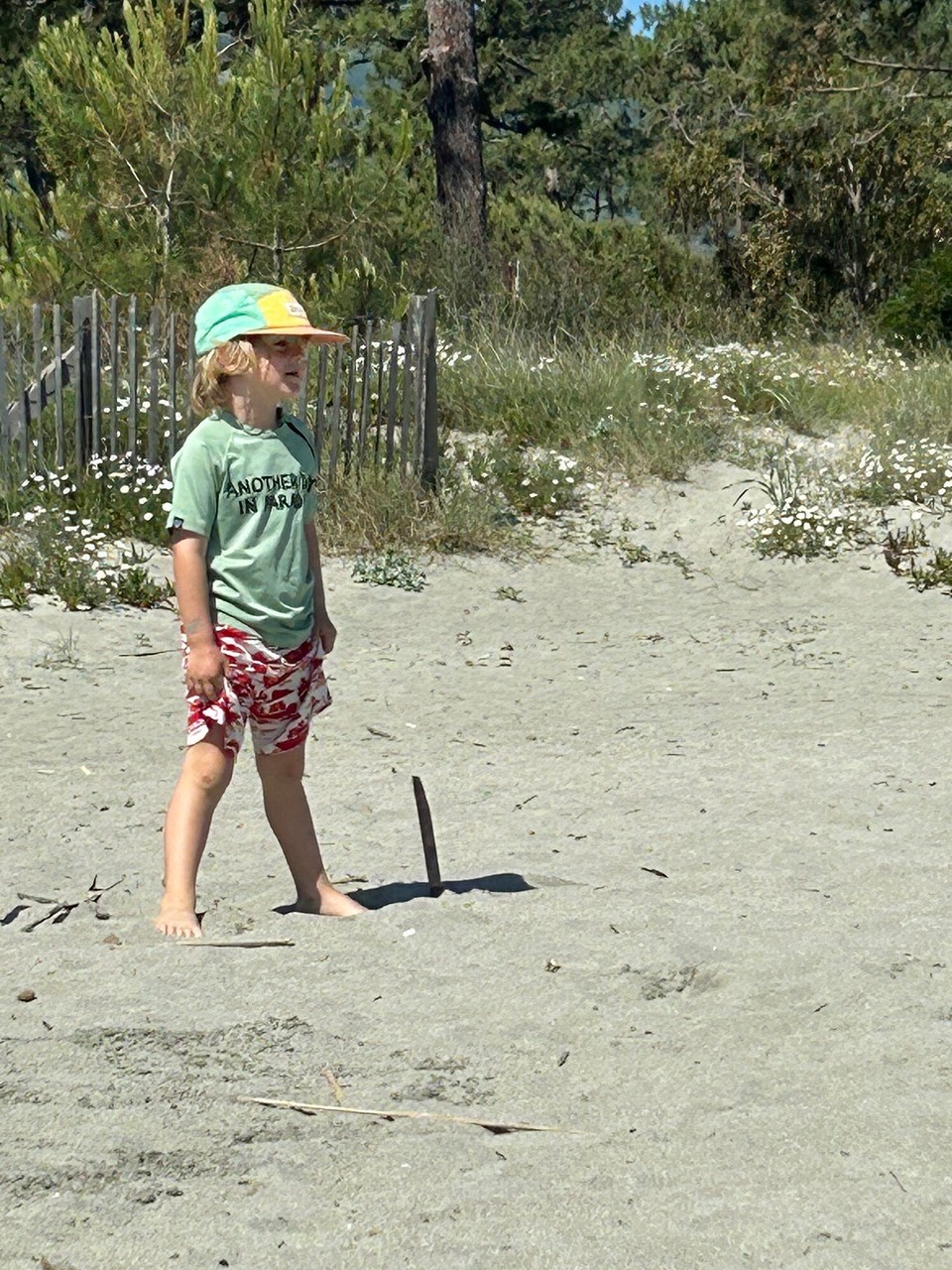 Frankreich - Biguglia - 