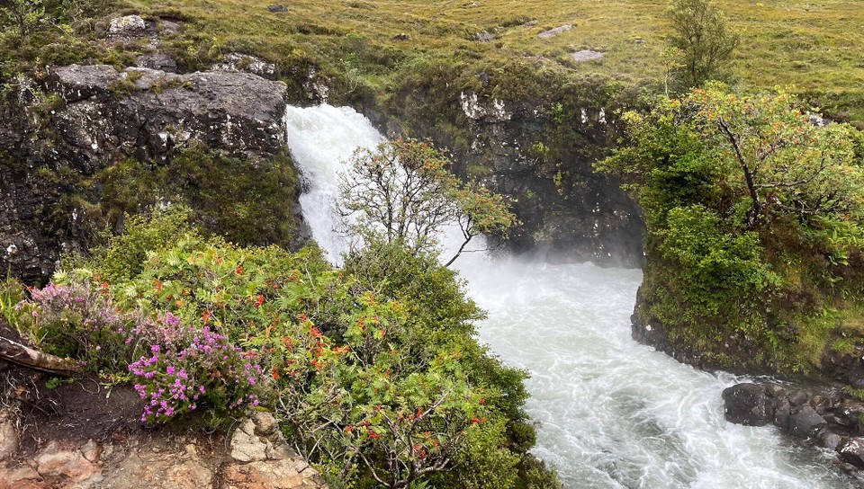 United Kingdom - Grula - 