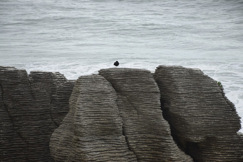 Neuseeland - Pancake Rocks - 