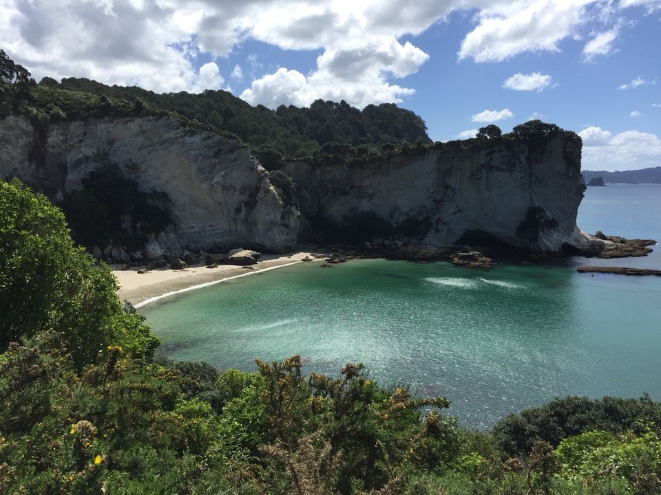 Neuseeland -  - 