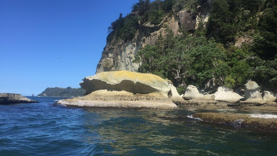 New Zealand - Whangapoua - 