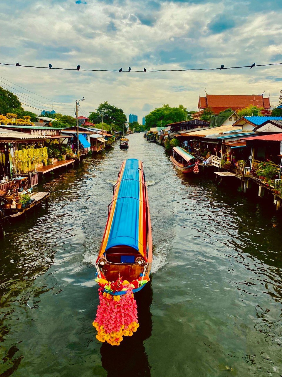 Thailand - Bangkok - 