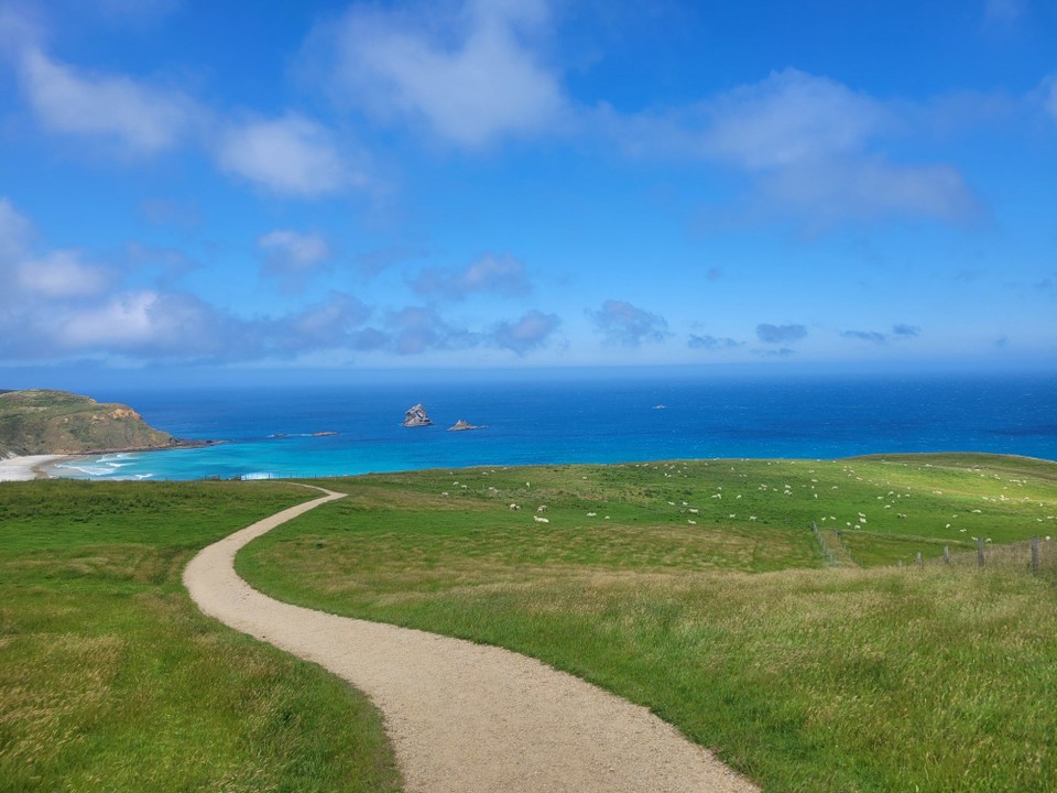 Neuseeland - Otago Peninsula - 