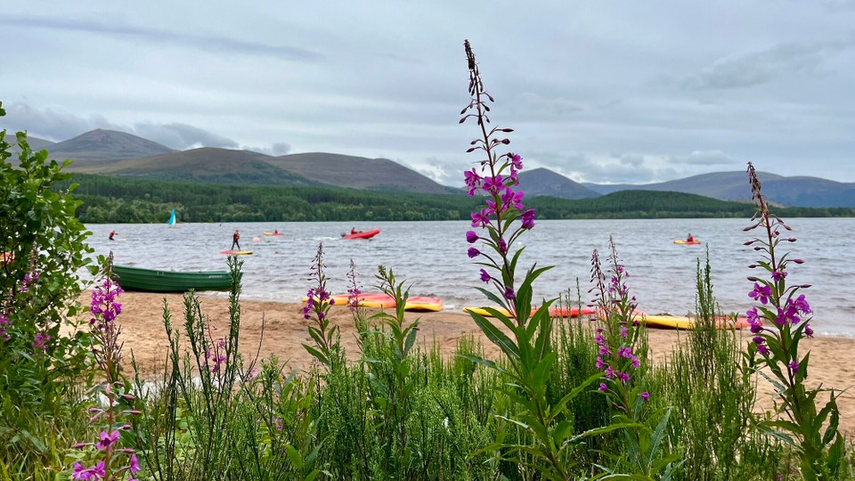 Royaume-Uni - Pitlochry - 