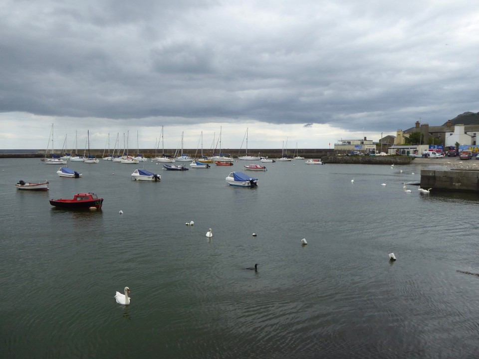 Ireland - Enniskerry - Having caught the Dart to Bray, we realise there’s a cliff walk from Greystones; a plan for another time.  