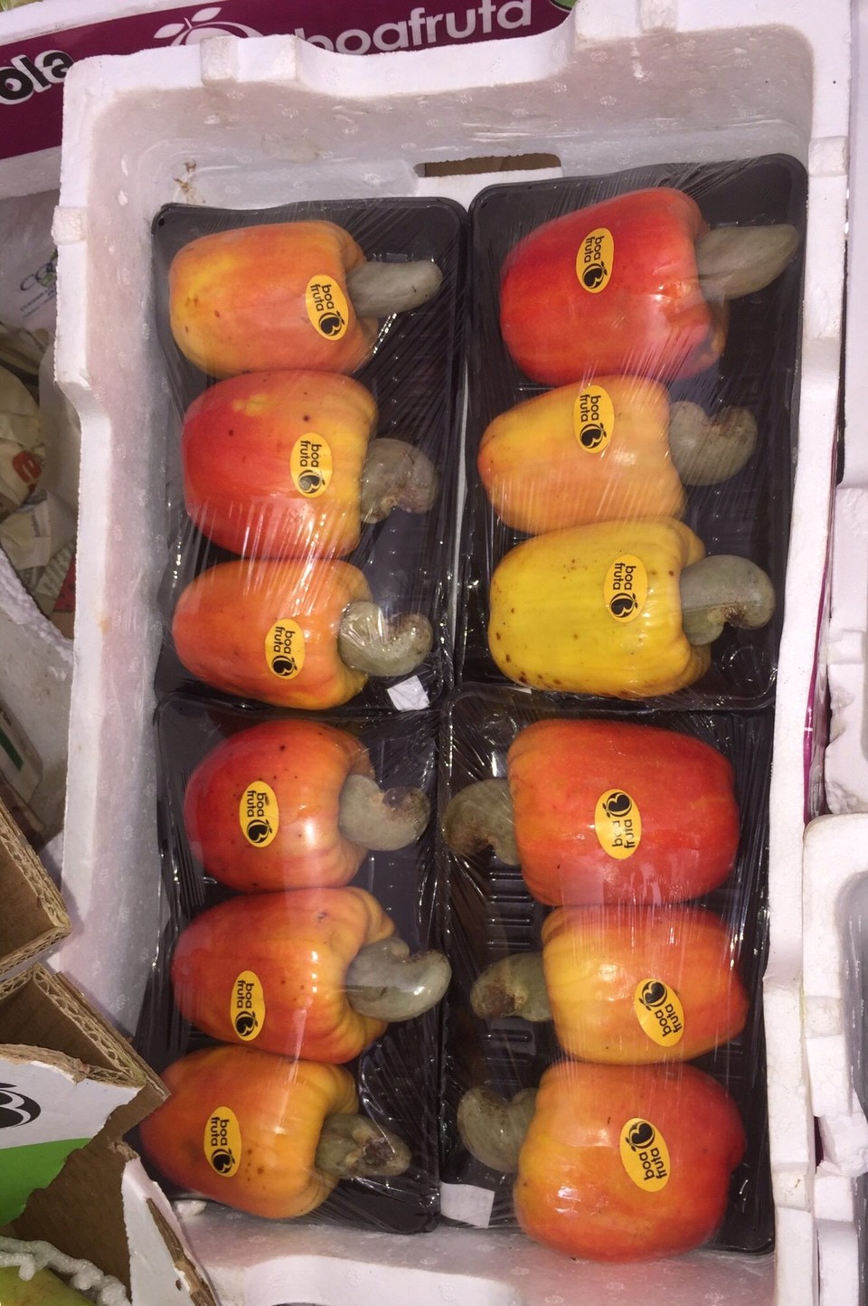 Brasilien - Lauro de Freitas - Cashews