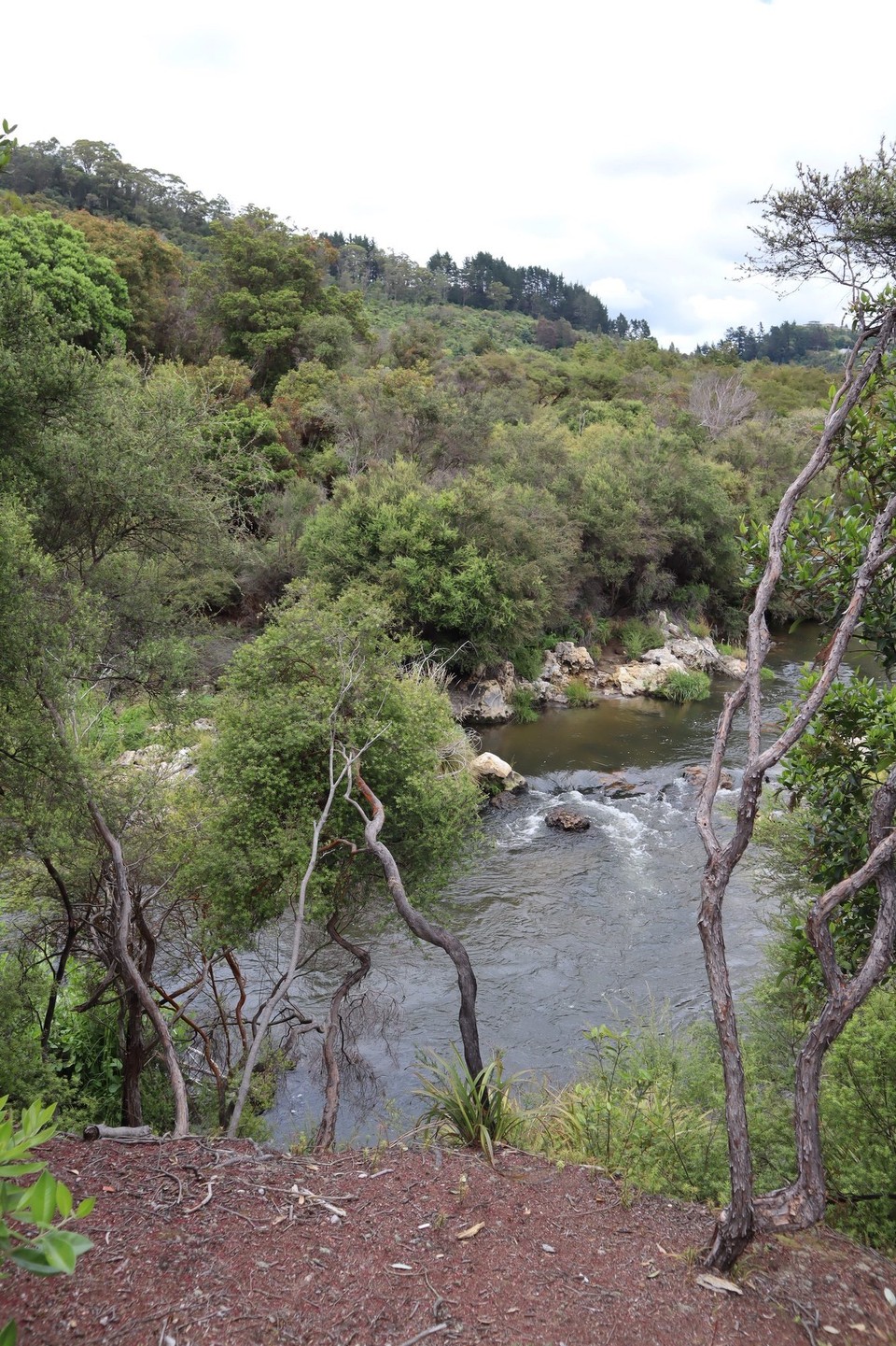 Neuseeland - Matakana Island - 