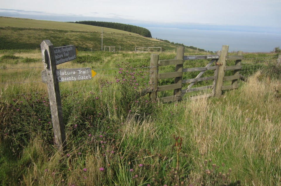 Vereinigtes Königreich - Exmoor-Nationalpark - 