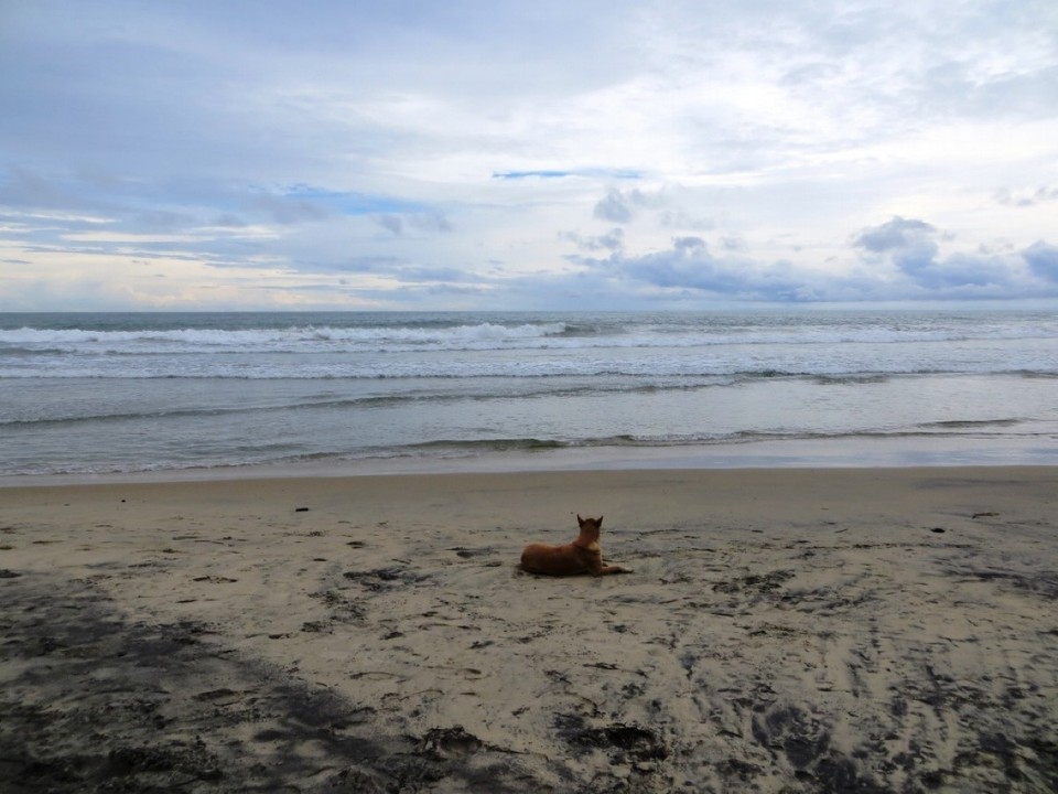 India - Kovalam - 