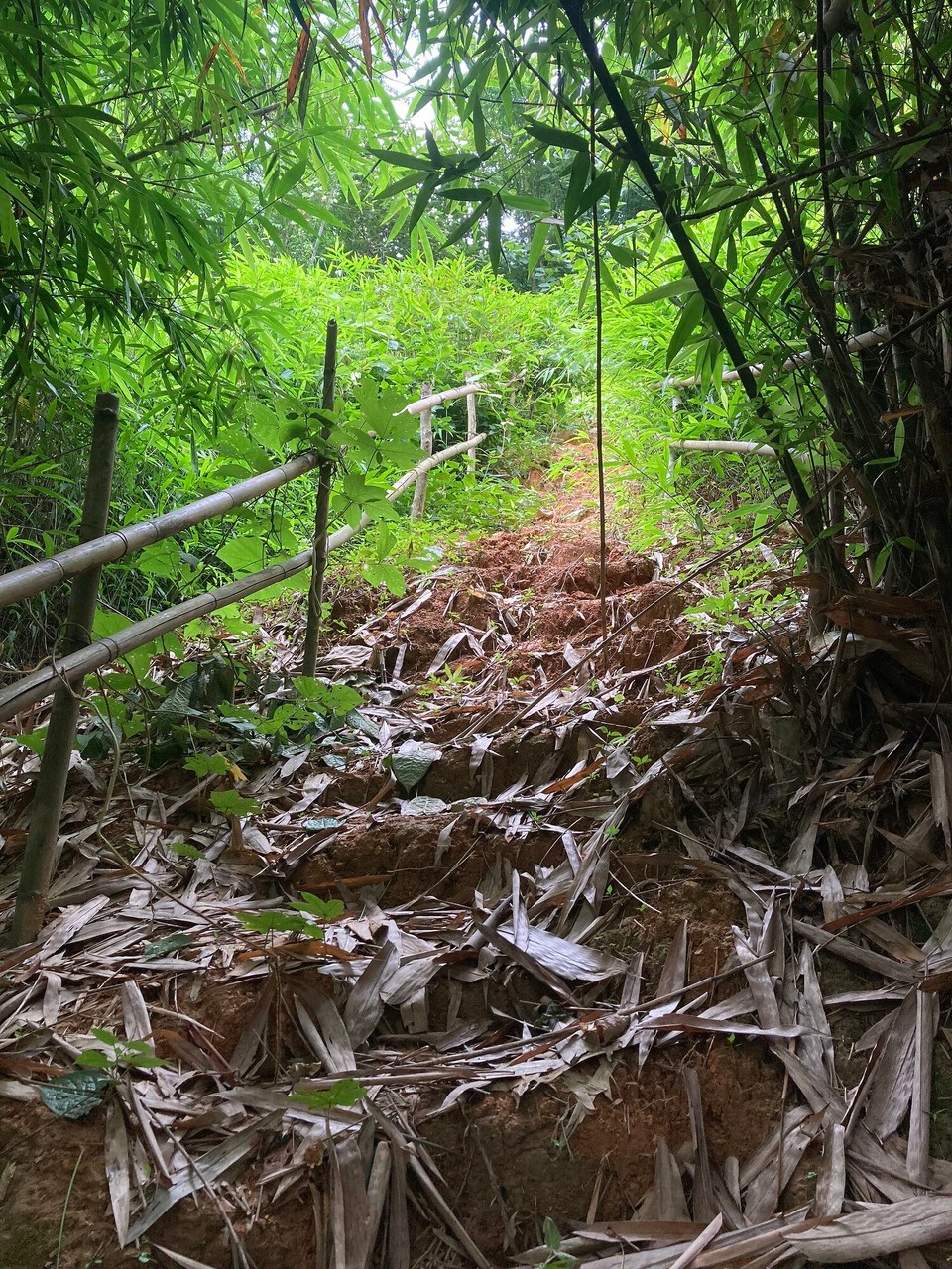 Laos - Ngoi - 