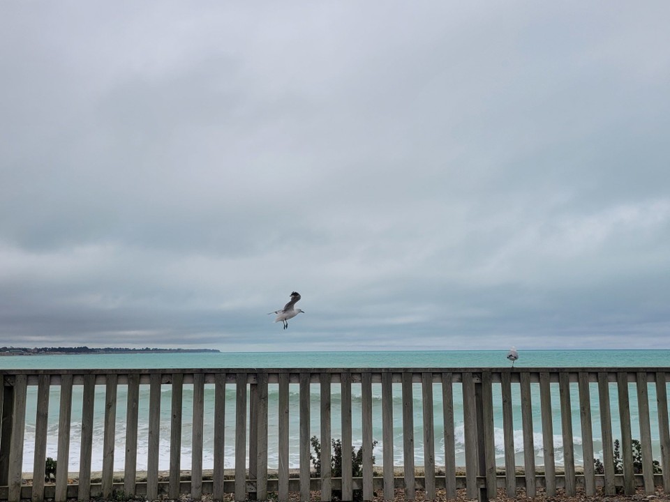 Neuseeland - Oamaru - 