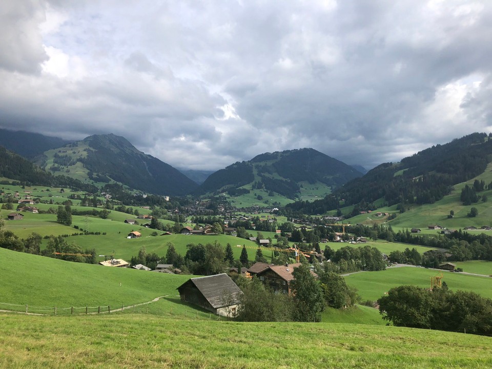 Schweiz - Gstaad - Nach der Radtour geht es noch mit den Hunden auf kleine Gassiwanderung. Ordentlich steil hinauf - mit Traumhaften Ausblick ins Saanenland im Berner Oberland. 