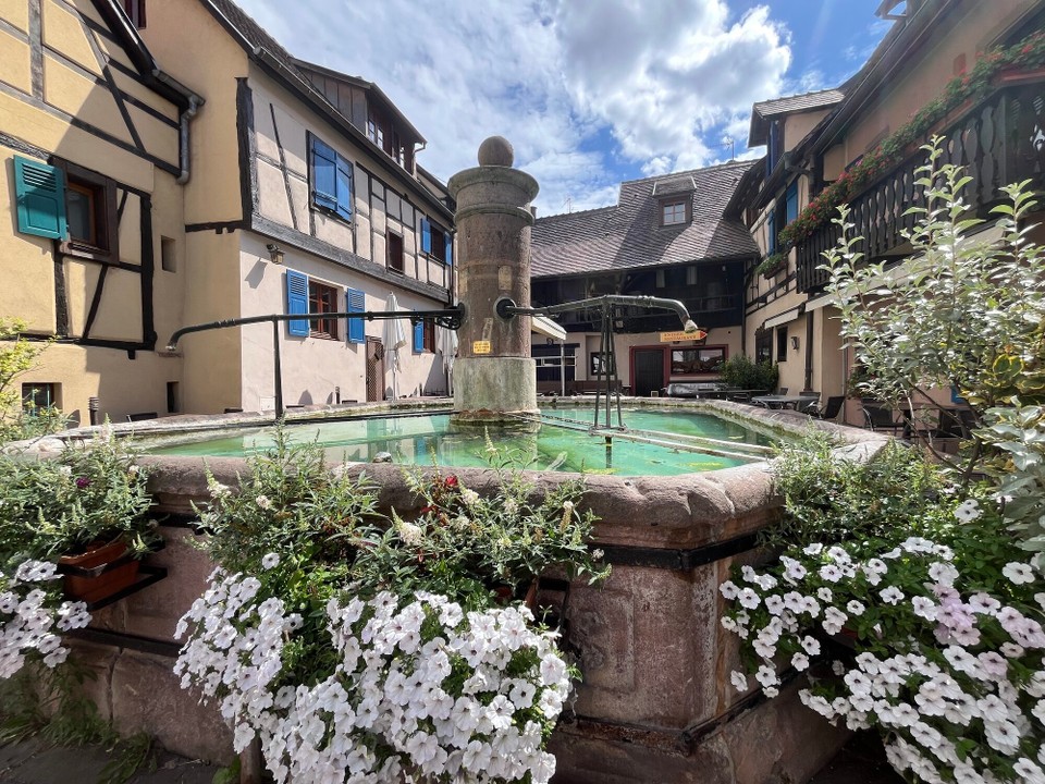Frankreich - Eguisheim - 