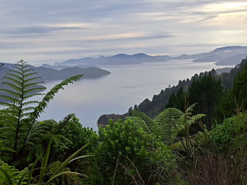 Neuseeland - Portage - 