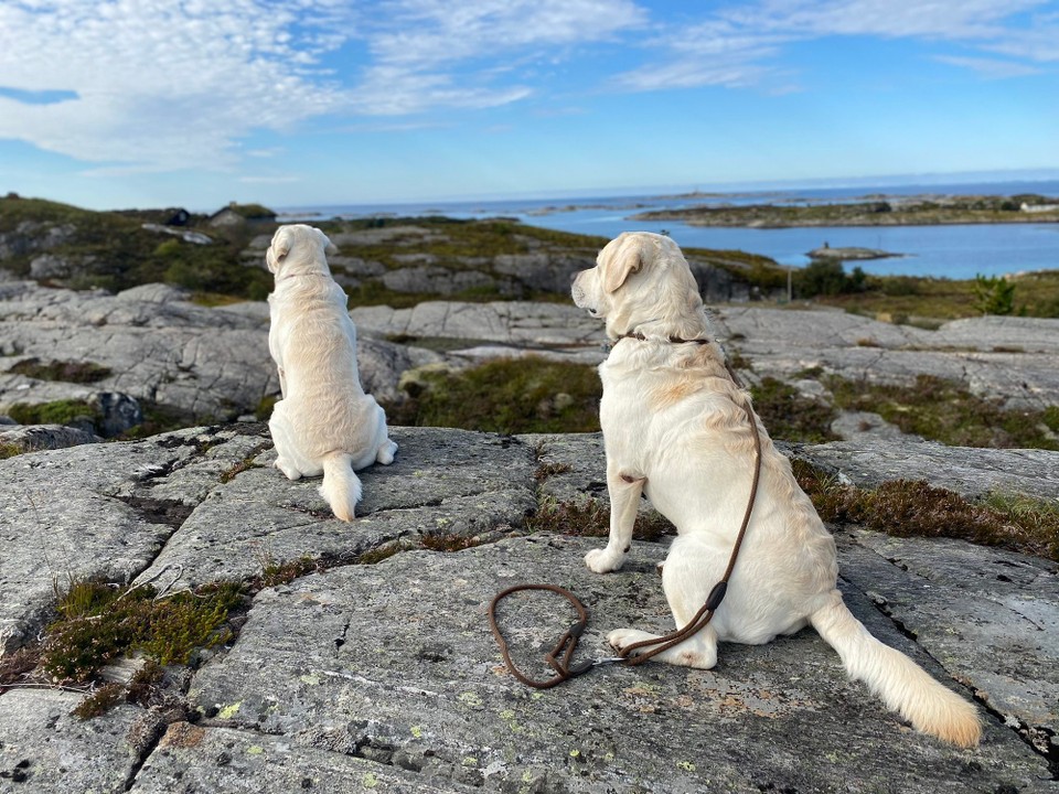 Norwegen - Averøy - 