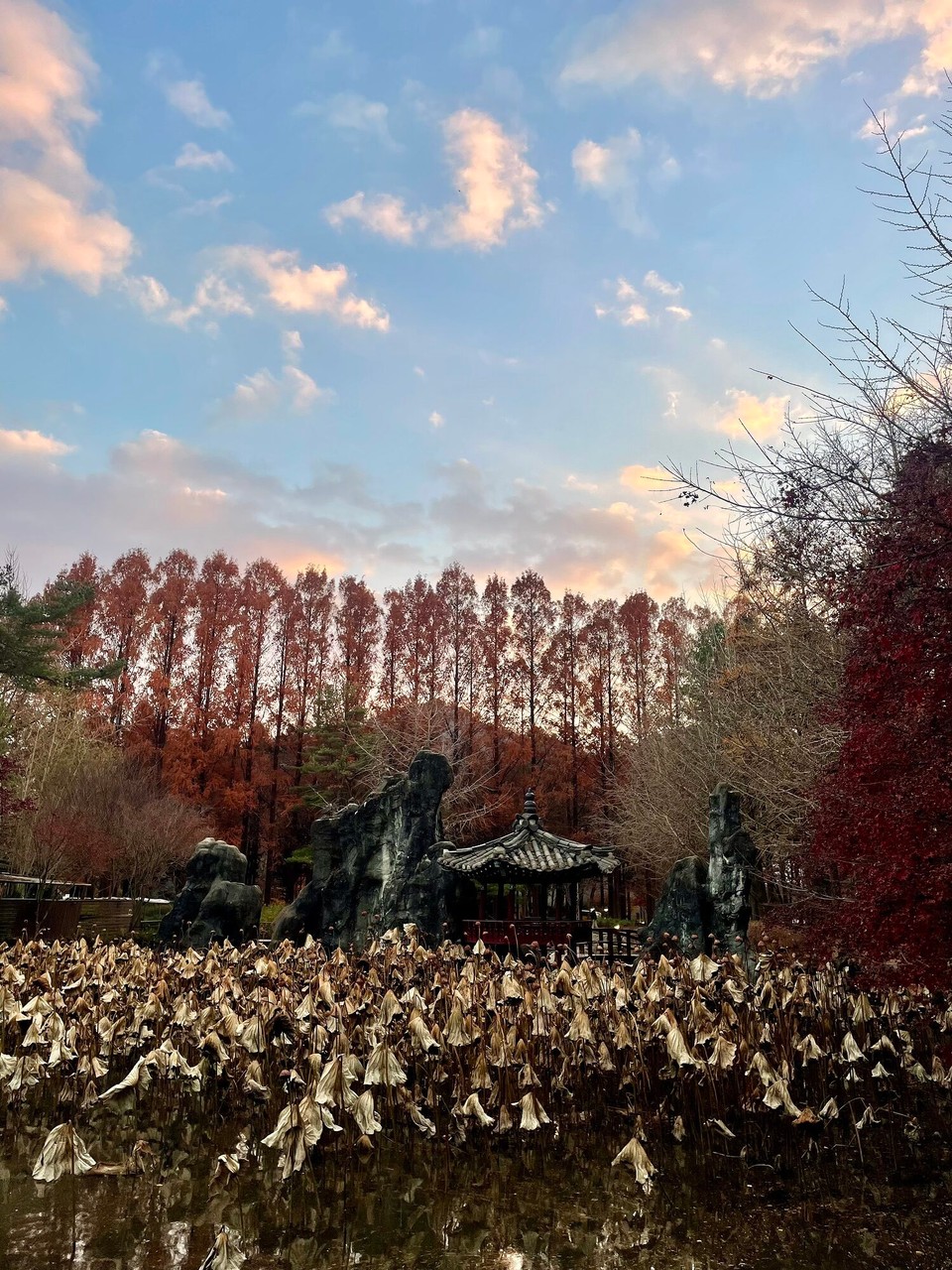 대한민국 - 춘천시 - 