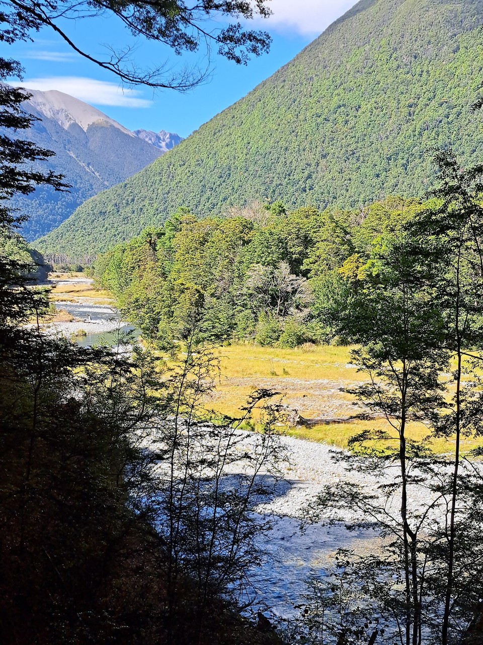 Neuseeland - Nelson Lakes National Park - 