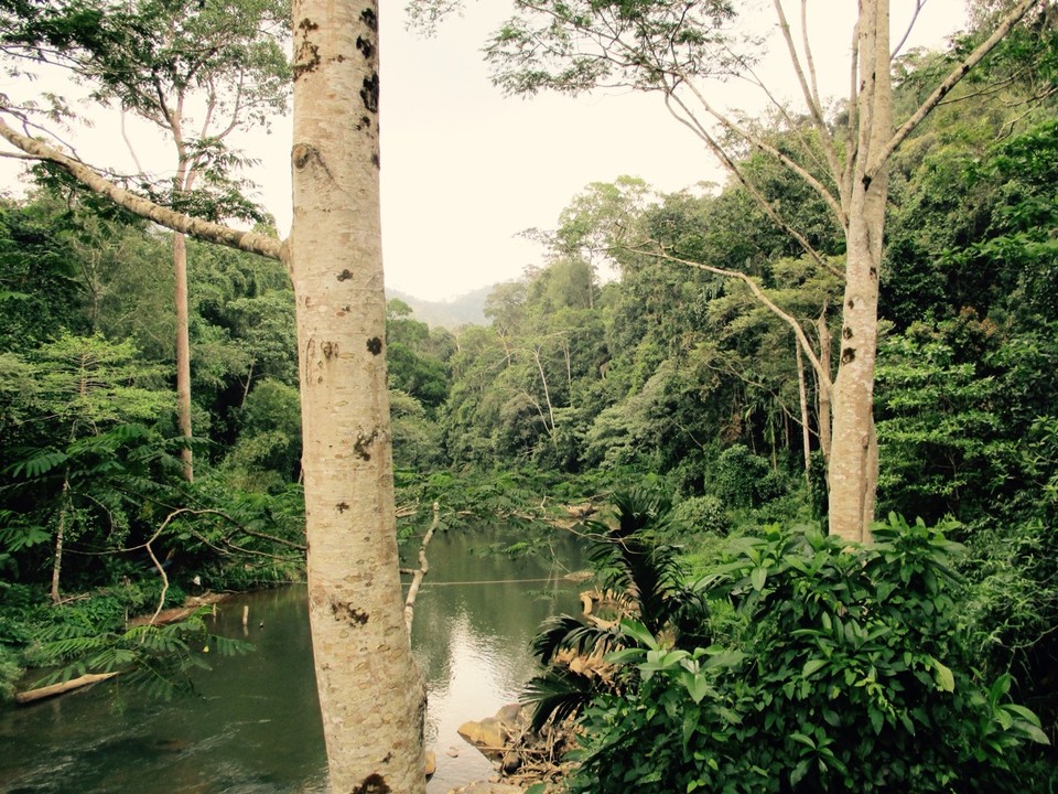 Sri Lanka - Deniyaya - 