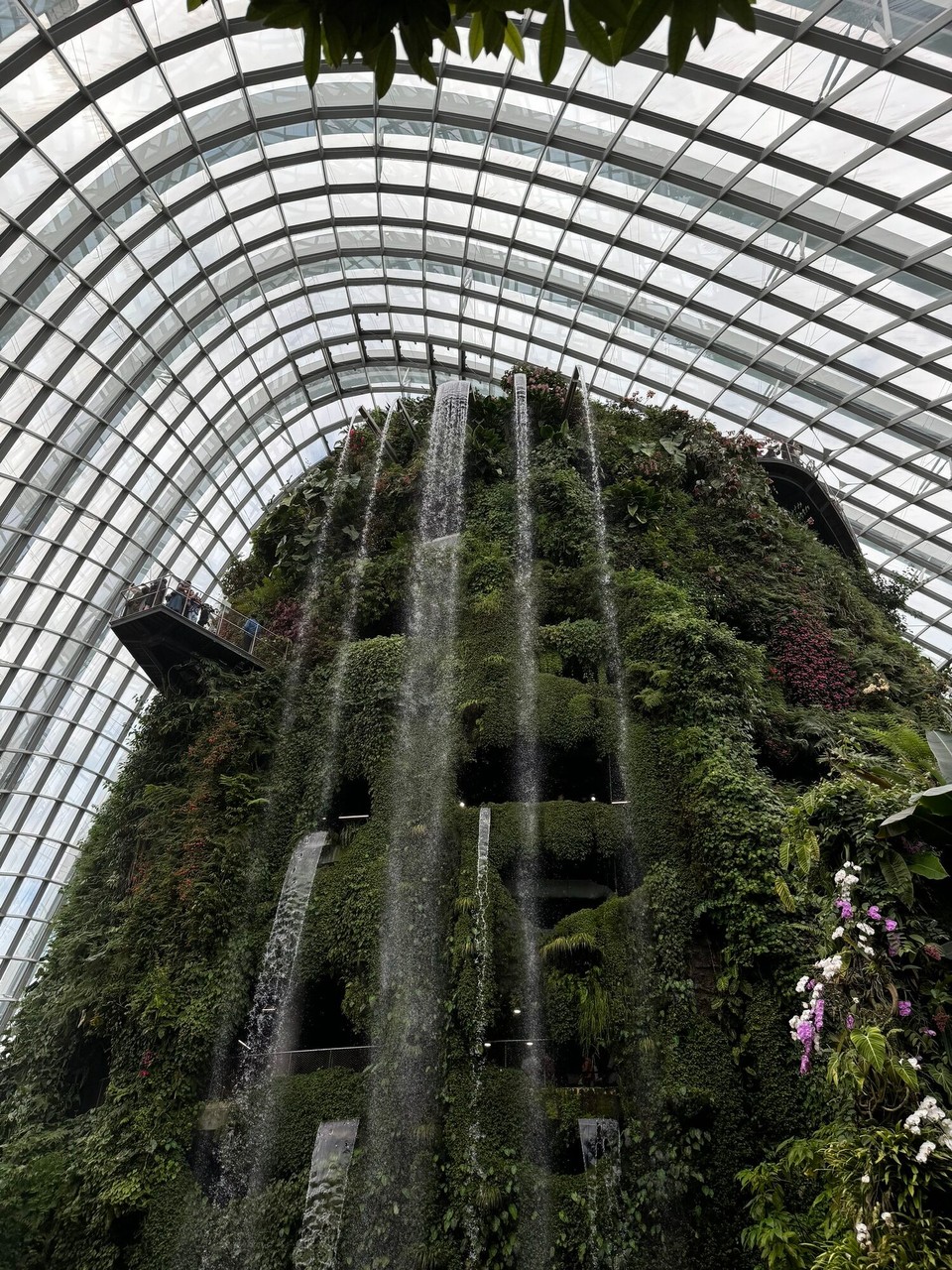 Singapur - Singapur - Cloud Forest