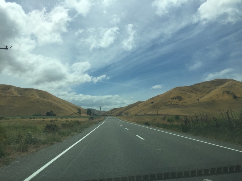 Neuseeland - Blenheim - 
