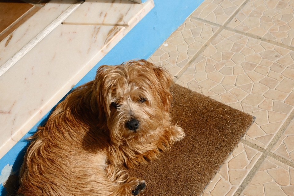 Portugal - Aljezur - 