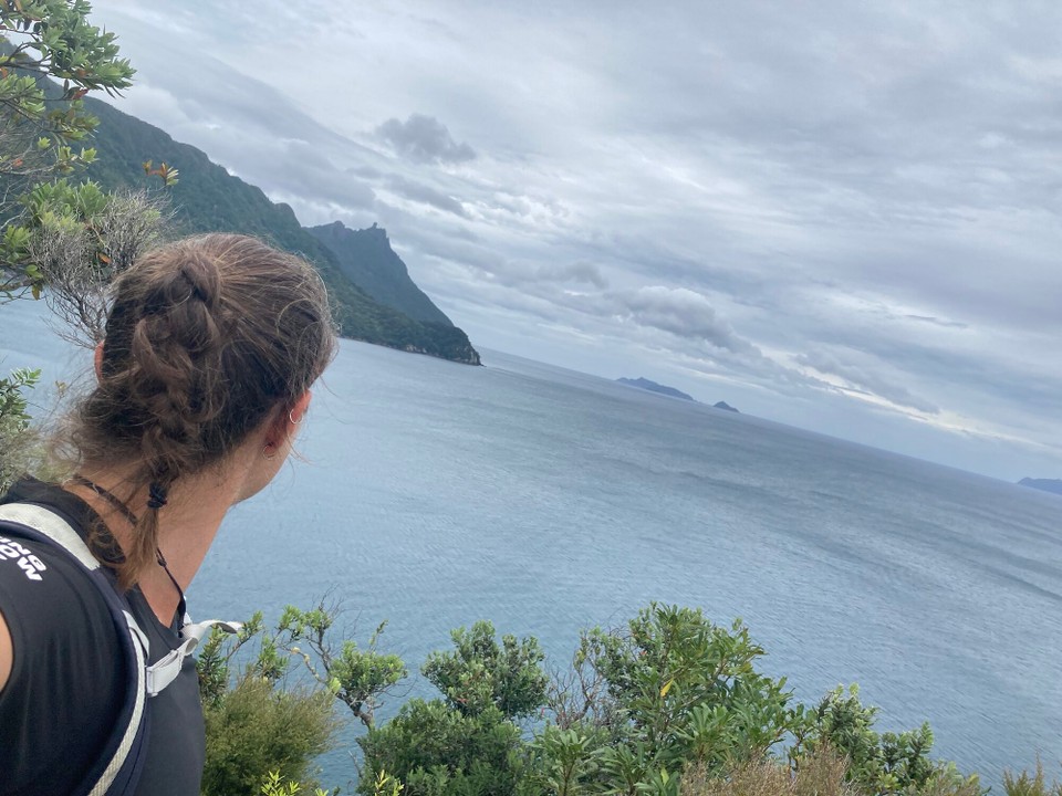 Neuseeland - Whangarei Heads - 