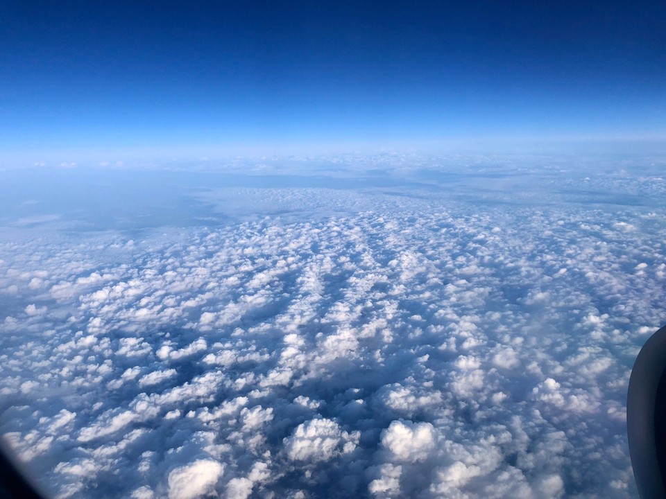 Deutschland - Frankfurt am Main - 