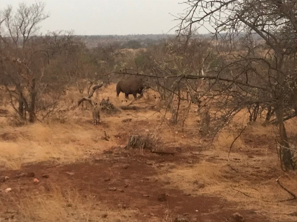 Südafrika -  - 