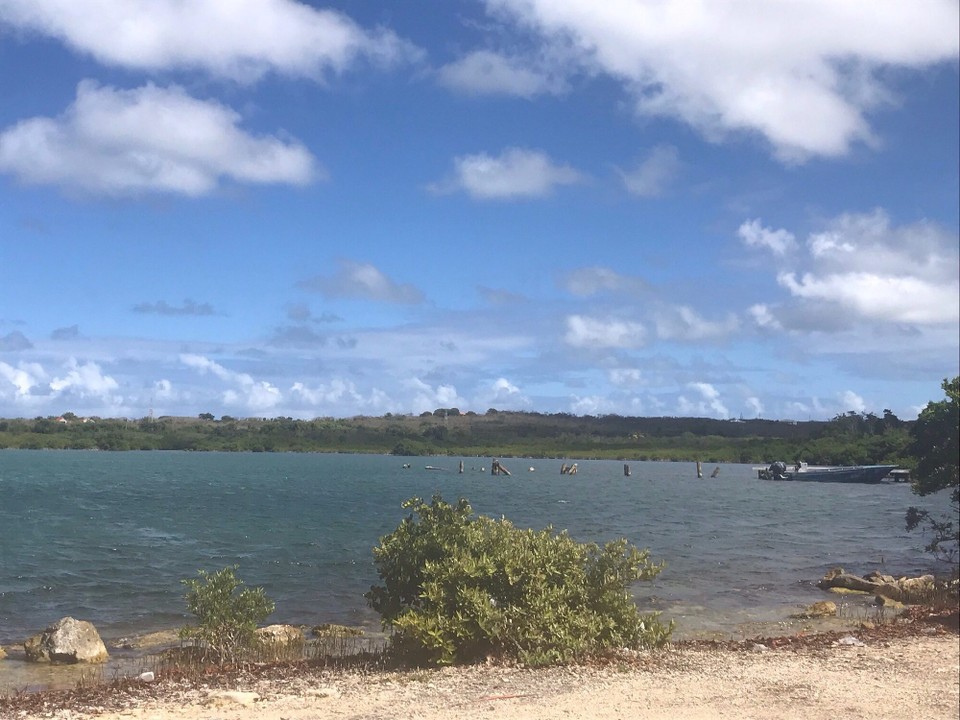 Antigua and Barbuda - Antigua and Barbuda - 
